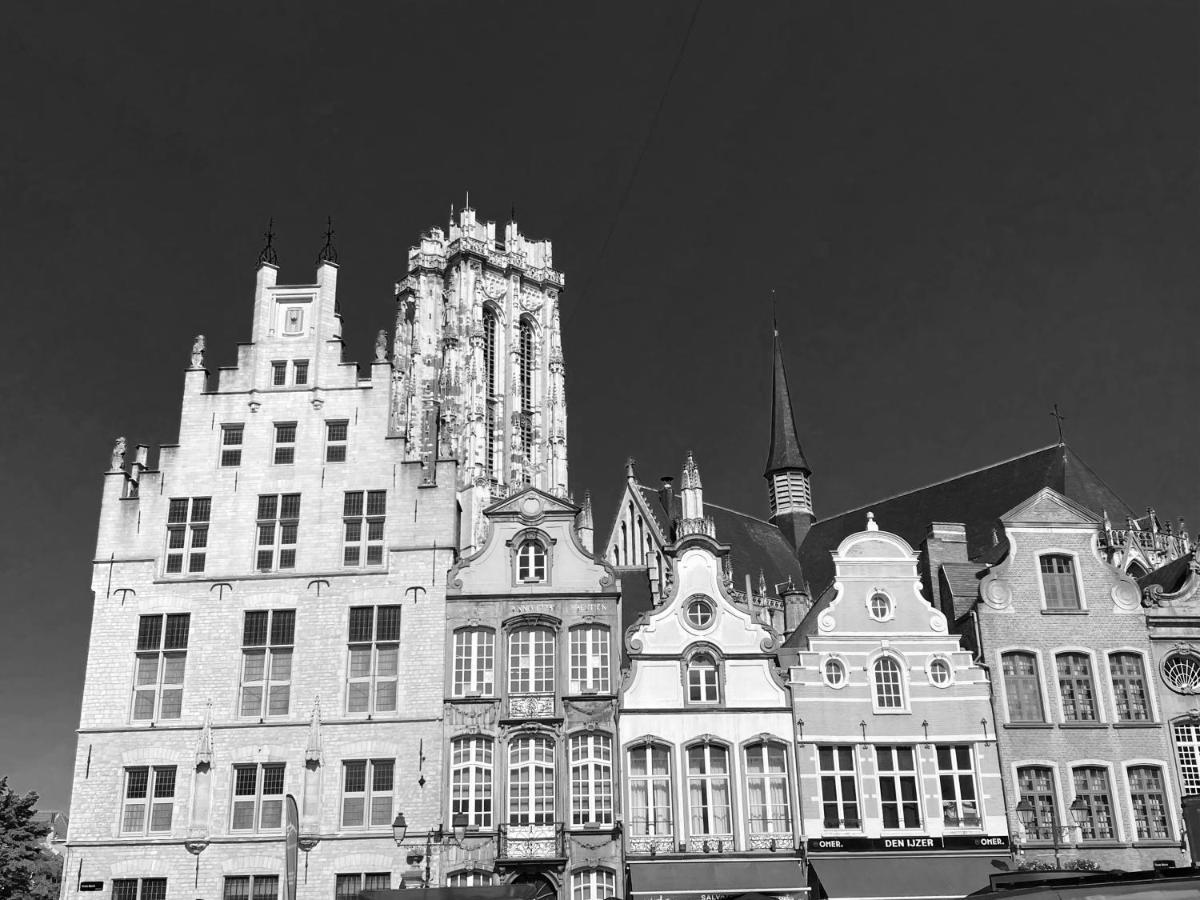 Nova Zembla Bed & Breakfast Mechelen Exterior photo